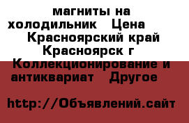 магниты на холодильник › Цена ­ 300 - Красноярский край, Красноярск г. Коллекционирование и антиквариат » Другое   